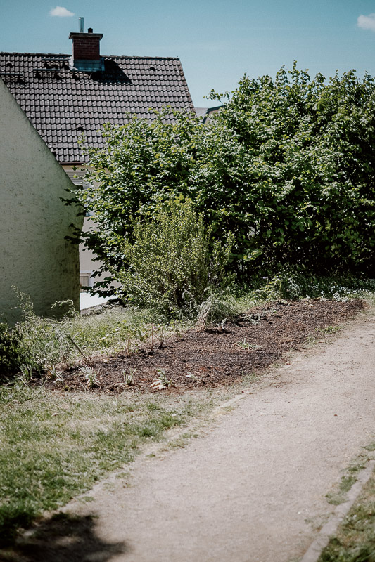 _DSF0101.jpg