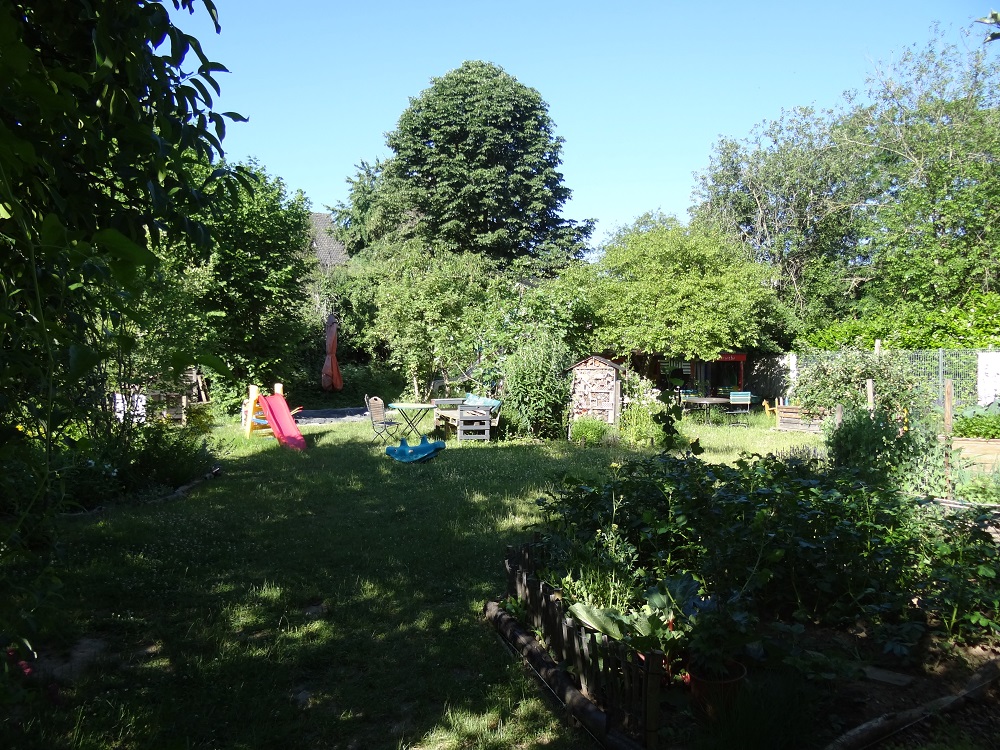 DSC00174-neu.jpg