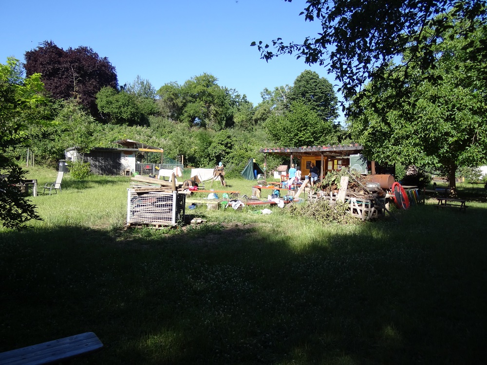 DSC00176-neu.jpg