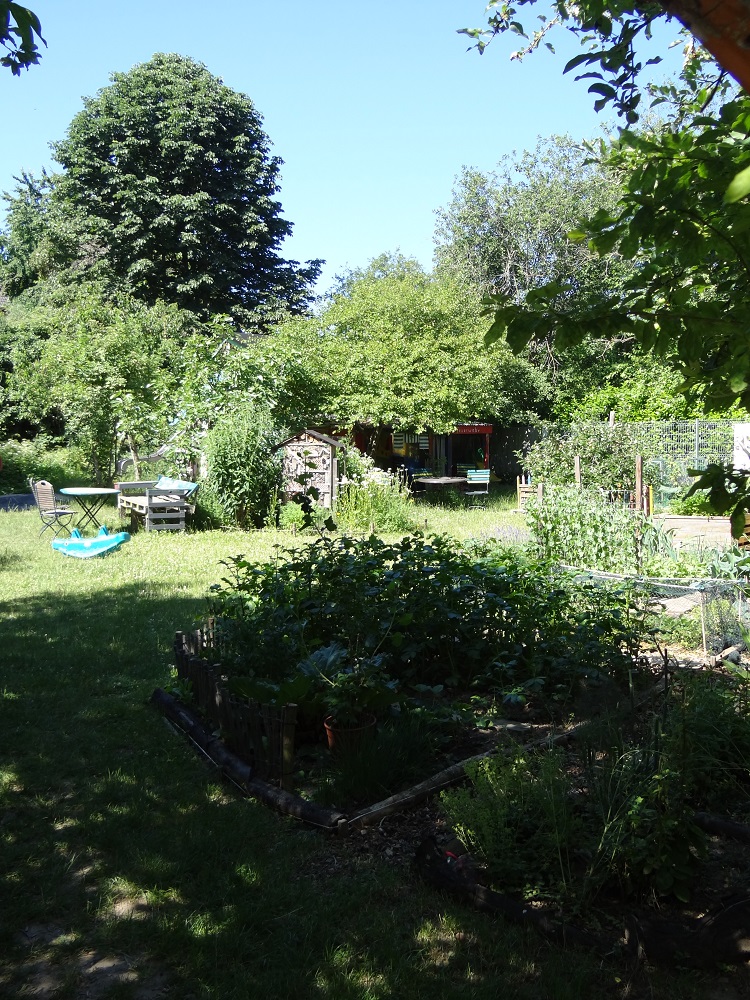 DSC00195-neu.jpg