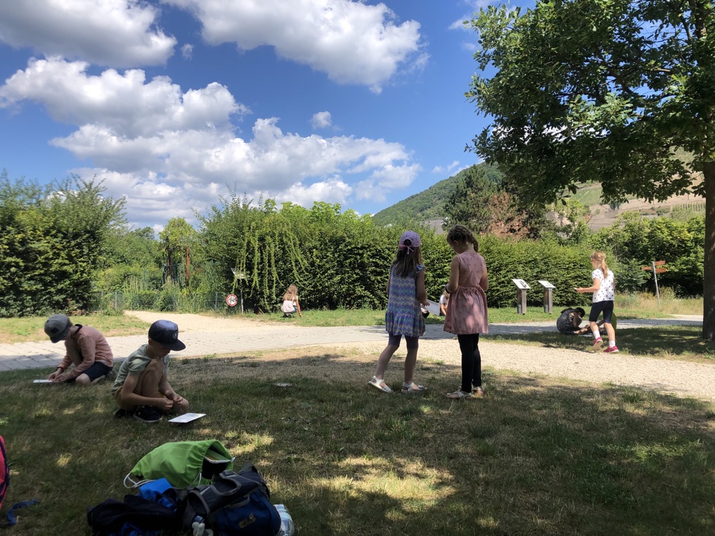 IMG_0815.jpeg